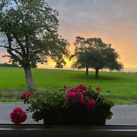 Vakantiehuis Le De La Waldmatt - & Sauna - Proche La Petite- Pierre - Piscine, Calme Et Detente
