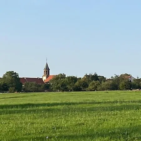 Vakantiehuis Le De La Waldmatt - & Sauna - Proche La Petite- Pierre - Piscine, Calme Et Detente